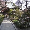 番外　高蔵寺　3月25日-2