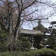 番外　高蔵寺　3月25日-1