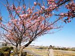 100207tamagawa04