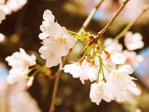 100314nakahara02
