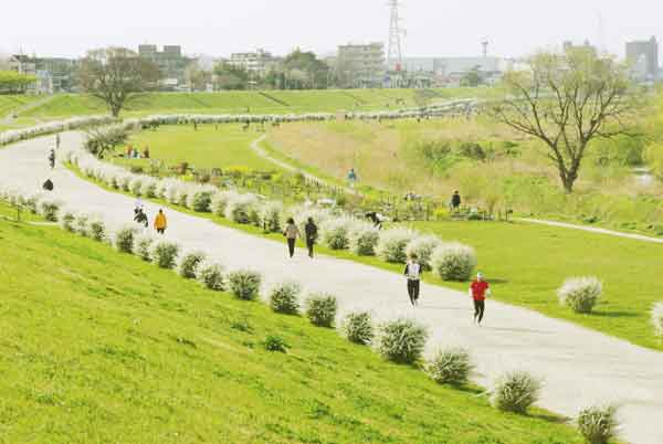 100322tamagawa02