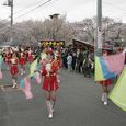 多摩区宿河原・二ヶ領用水さくら祭り4月2日-31