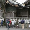 多摩区宿河原・二ヶ領用水さくら祭り4月2日-16