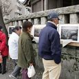 多摩区宿河原・二ヶ領用水さくら祭り4月2日-17