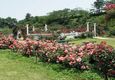 2006年5月31日-03