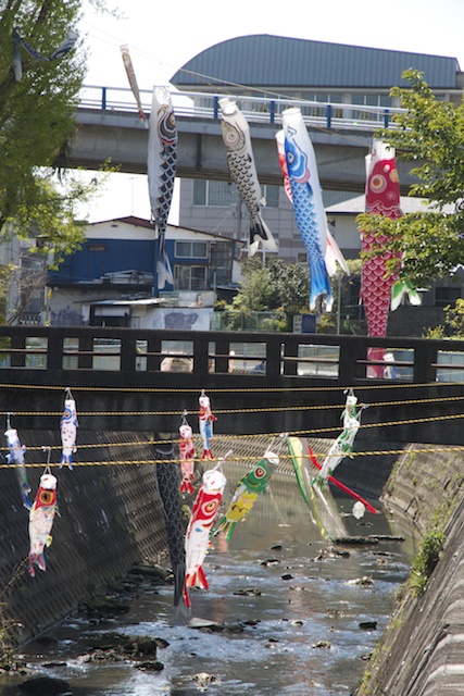 100426koinobori03