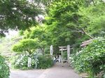 20100613jyokeiji02