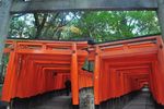 Web_fushimiinari