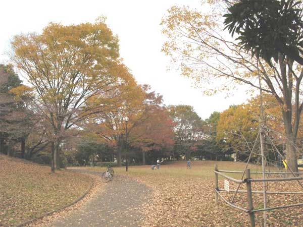 20101121nijigaoka02