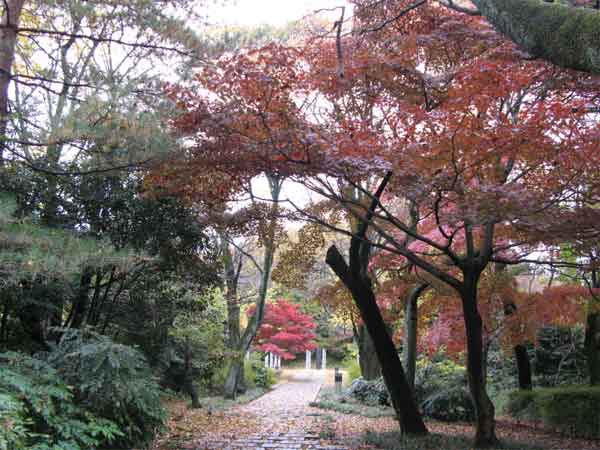 20101123ikutaryokuchi01