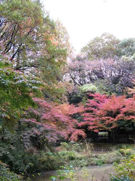 20101123ikutaryokuchi07