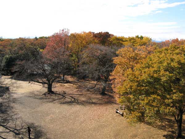 20101123masugatayama04