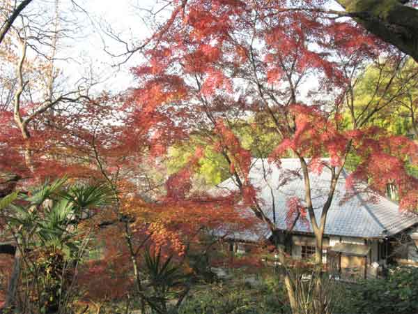 20101206jyokeiji02