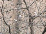 20110302asaokuyakusyo06