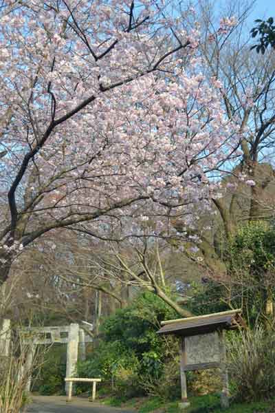 20110328jyokeiji01