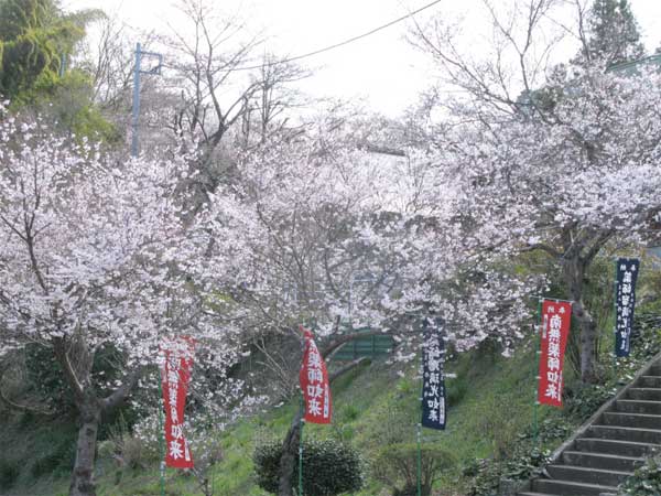 20110404syukoji02