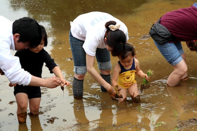 110612taue06