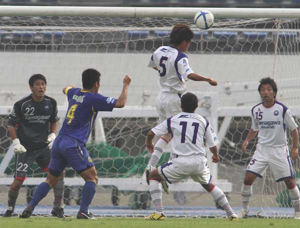 111105zelvia05