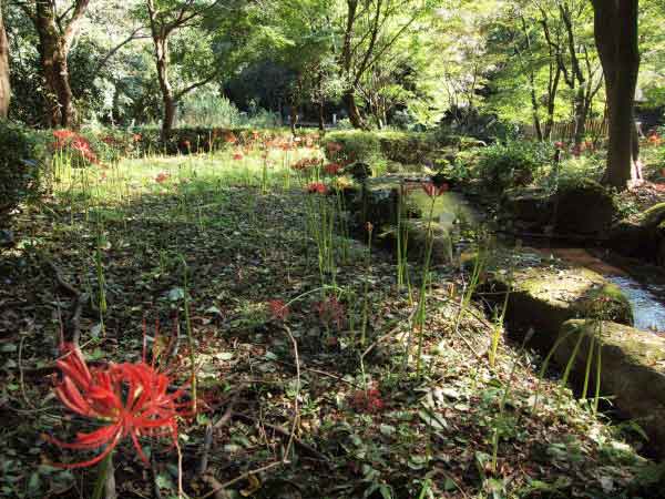 20110924higashitakane02