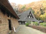 20111216ikutaryokuchi03