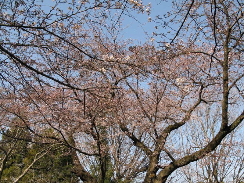 IMG_0001廣福寺_1