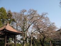 IMG_0005廣福寺_1