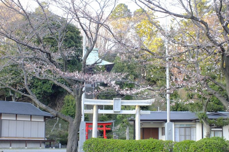 040504白山神社定点