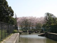 IMG_0019大師公園_1