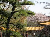 IMG_0017大師公園_1