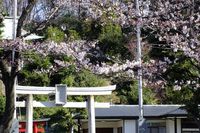 040703白山神社定点