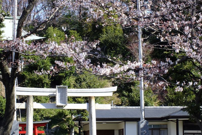 040703白山神社定点