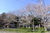 040804白山神社定点