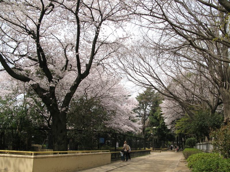 IMG_0077加瀬山・夢見ケ先公園・動物園_1