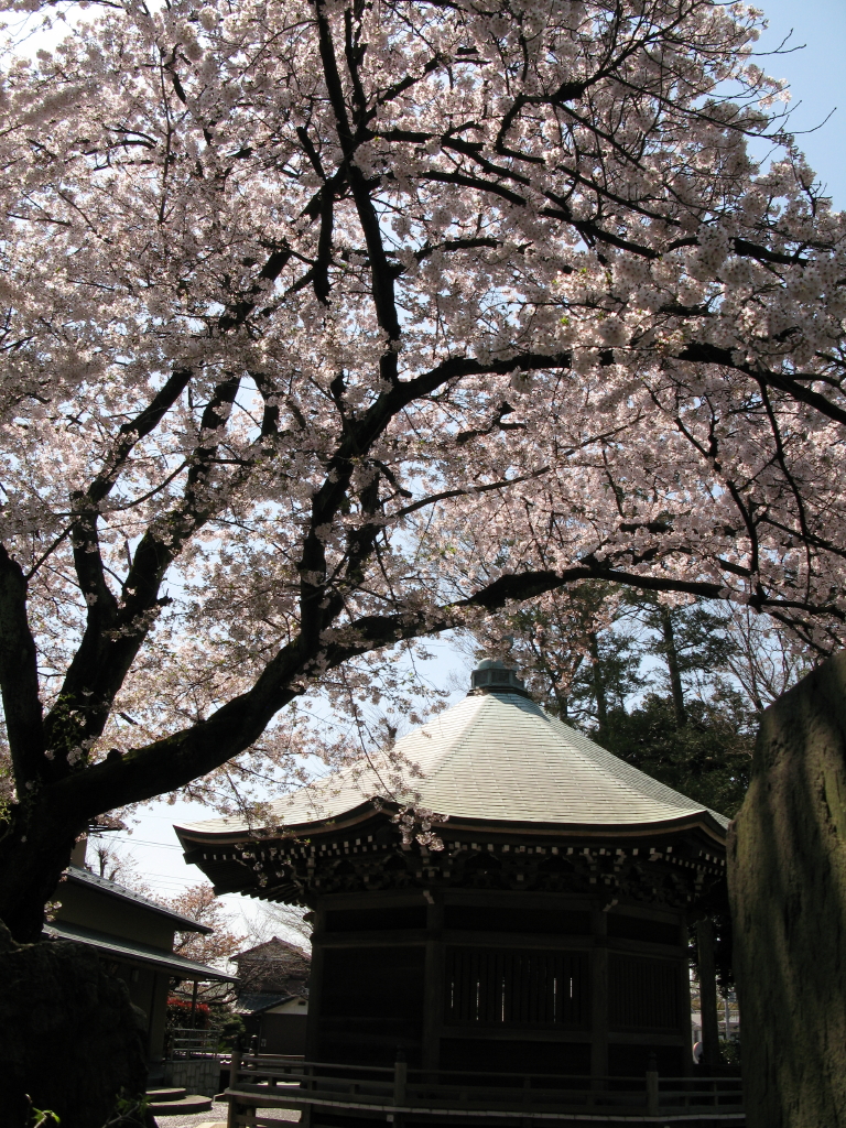 IMG_0031影向寺_1