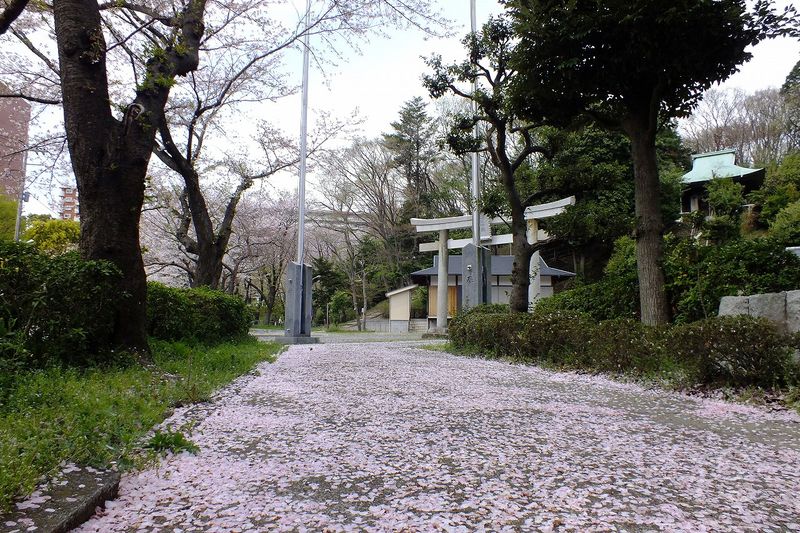 041505白山神社境内