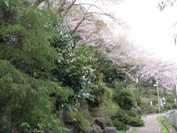 IMG_0046高石神社_1