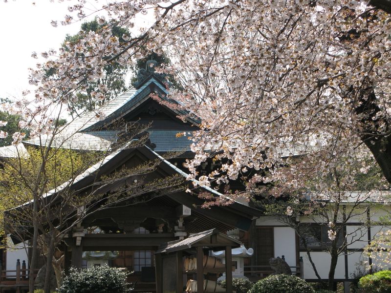 IMG_0002法雲寺_1