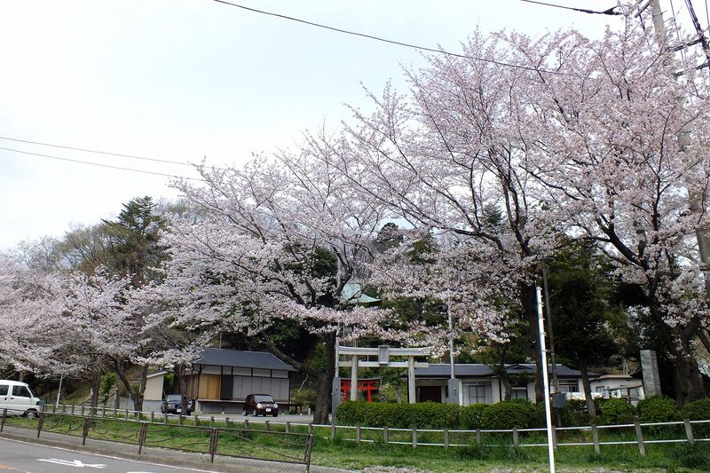 041304白山神社定点