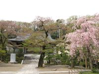 IMG_0035j壽福寺_1