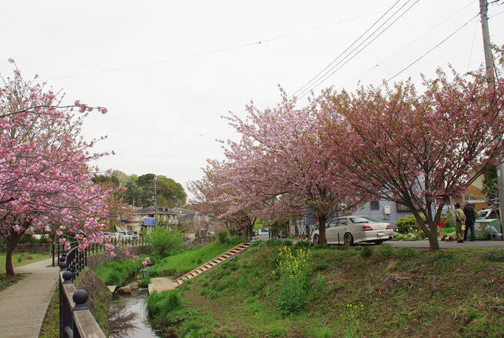 平瀬川042001