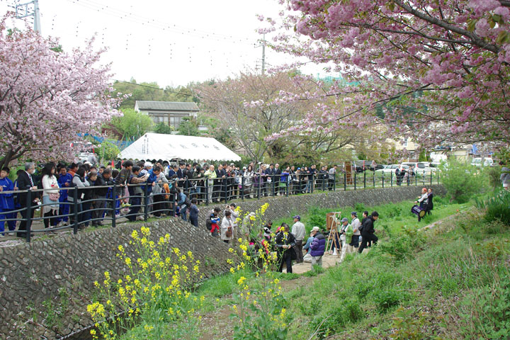 桜祭り03