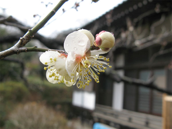 20120216syukoji02