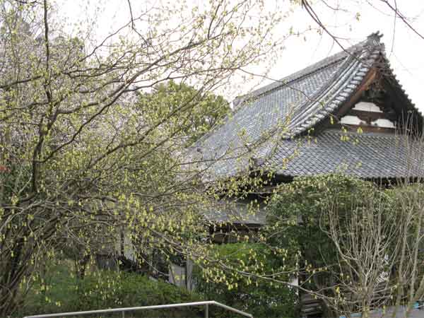 20120322syukoji01