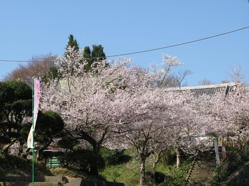 IMG_0003修廣寺_1