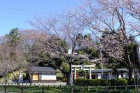 040704白山神社定点