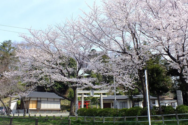 041004白山神社定点