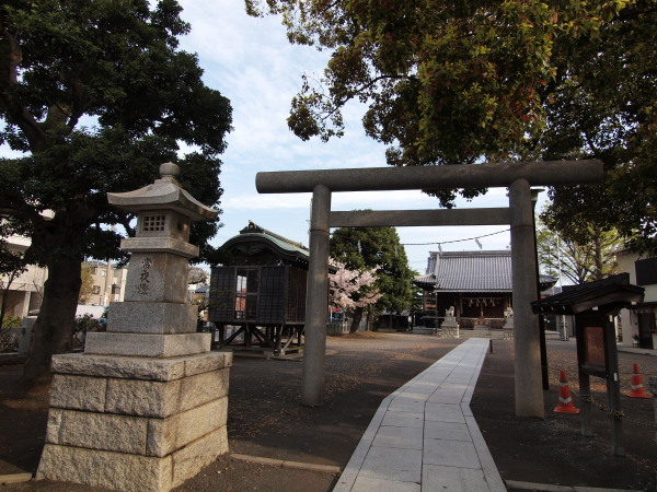 神社桜20120413_02r