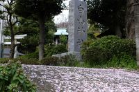 041506白山神社境内