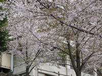 IMG_0053高石神社_1