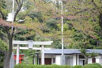 042103白山神社定点